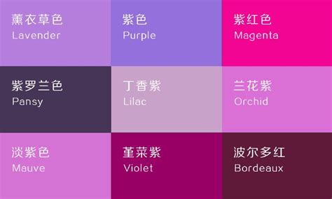 紫色要配什麼顏色 適合陰暗的植物